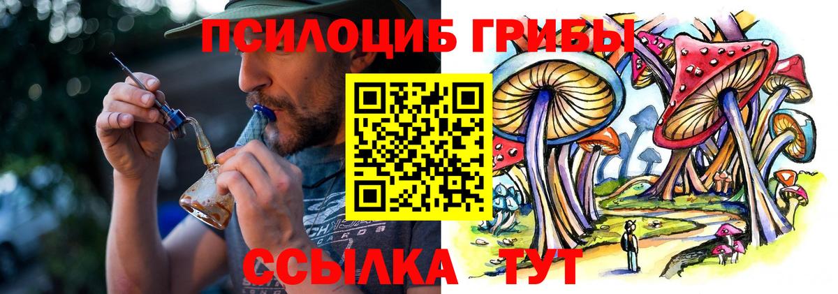 Магадан  Псилоцибиновые грибы Psilocybine cubensis  сколько стоит  Вход с VPN 